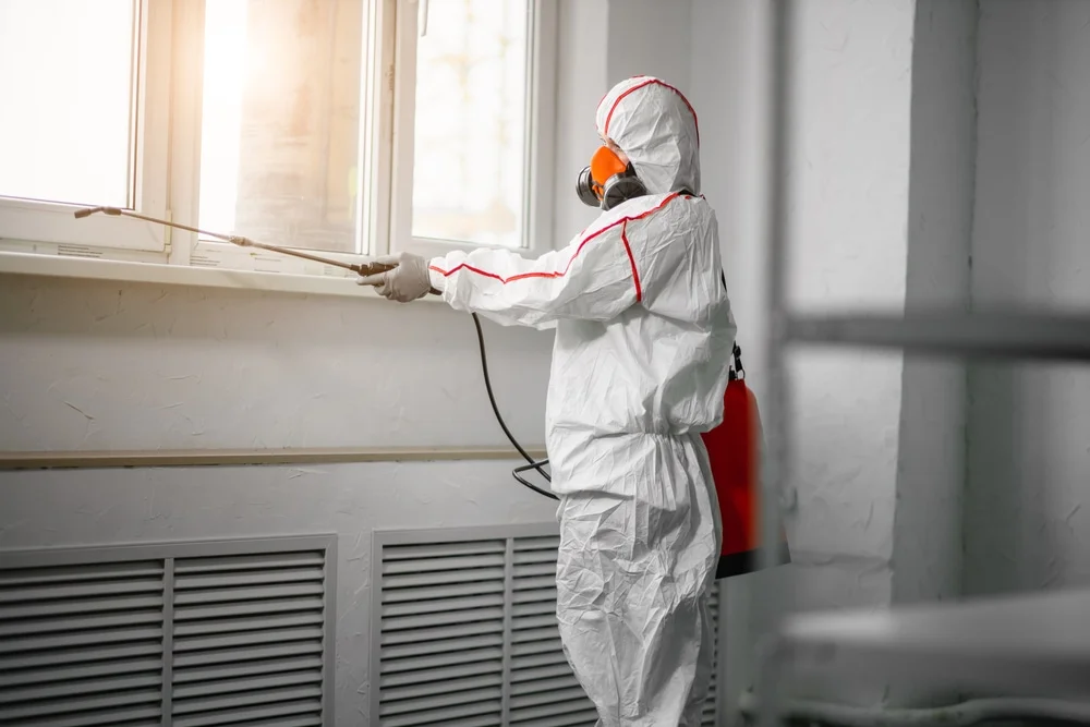 Professional mold remediation services in Swanzey, NH